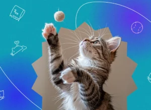 Read more about the article Keep Your Cat Entertained with This Innovative Toy