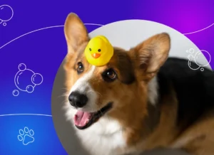 Read more about the article You Won’t Believe How Easy Bath Time Can Be for Your Pets!