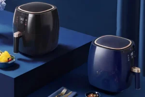 Read more about the article Air Frying Redefined: Your Guide in Deciding What Air Fryer Should I Buy