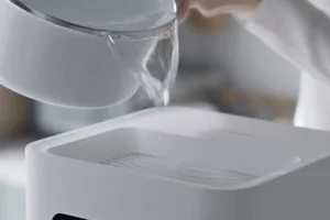 Read more about the article Allergy Relief Unveiled: Is a Humidifier Good for Allergies?