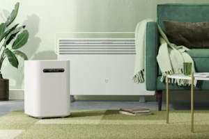 Read more about the article A Deeper Dive: Does a Humidifier Help with Asthma?