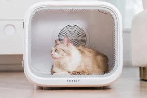 Read more about the article The Evolution of Pet Grooming: Introducing the Modern Pet Hair Dryer