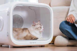 Read more about the article An Innovative Approach to Grooming: The Pet Air Dryer Box