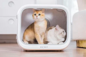 Read more about the article Transforming Feline Grooming with the Innovative Cat Hair Drying Box