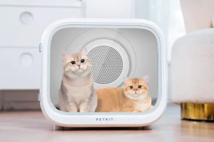 Read more about the article A New Era of Comfort with the Home Run Pet Drying Box