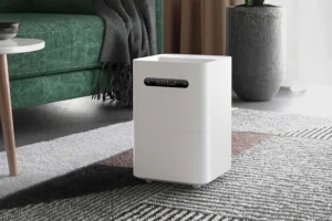 Read more about the article Finding Balance with a Large Evaporative Humidifier at Home