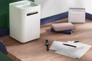 Read more about the article Navigating Your Way to Optimal Indoor Air Quality with a Smart Humidifier