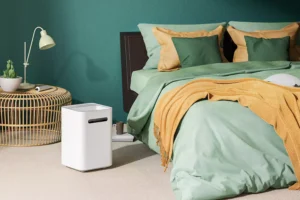 Read more about the article Maintaining Optimal Indoor Air Quality with the Cool Mist Evaporative Humidifier