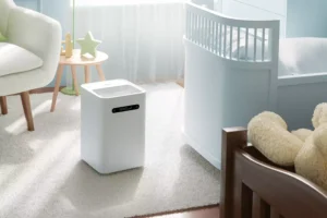 Read more about the article Unveiling the Secrets: What Is A Humidifier Good For?