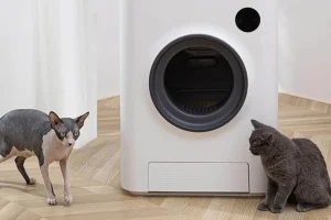 Read more about the article The Evolution of Feline Care: Best Automatic Cat Litter Boxes