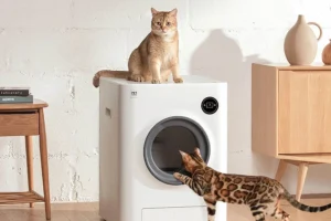 Read more about the article A Game Changer in Feline Care: The Best Automatic Litter Box for Cats