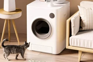 Read more about the article Redefining Cleanliness with a Revolutionary Litter House for Cats