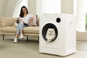 Read more about the article A New Era in Feline Hygiene with Rolling Litter Box