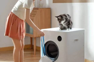 Read more about the article Discovering the Best Rated Litter Box: A Comprehensive Journey