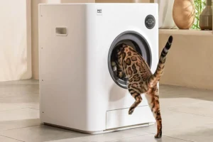 Read more about the article A Fresh Take on Feline Care with Self Cleaning Litter Box