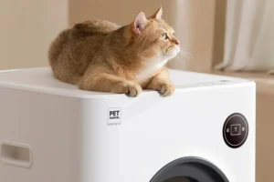 Read more about the article Embrace a Cleaner Home with the No Scoop Litter Box