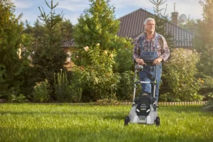 Read more about the article Embracing the Future with Lithium Battery Operated Lawn Mowers