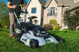 Read more about the article Mastering Your Petite Paradise: The Ideal Lawn Mower for Small Yard Maintenance