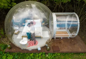 Read more about the article A Night Under The Stars: An Experience Like No Other With Your Stargazing Bubble Tent