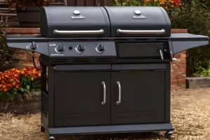Read more about the article Transforming Your Backyard Cookouts with the Perfect Grill for Barbecue