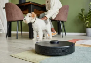 Read more about the article Elevating Housekeeping with a Smart Vacuum Robot Cleaner